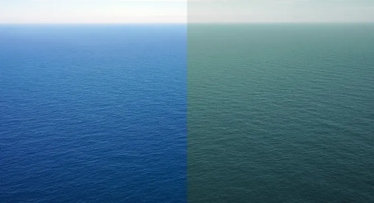Atlantic Ocean vs Pacific Ocean